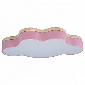 Накладной светильник Loft it Axel 4 яркие арт. 10005/30 Pink