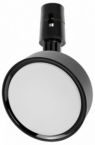 Светильник на штанге Lightstar Due Hermes черный арт. 210547