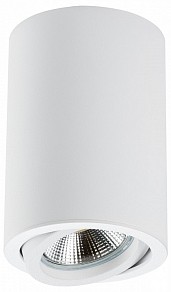 Накладной светильник Lightstar Rullo белый арт. 214406