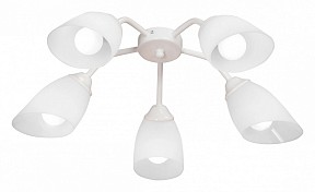 Потолочная люстра Vitaluce V31950 белый арт. V31950/5PL