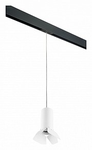 Подвесной светильник Lightstar Rullo черный арт. PRORP486436