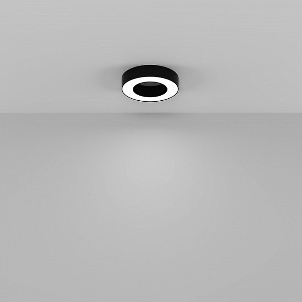 Накладной светильник Maytoni Technical Lua черный арт. C093CL-24W4K-B