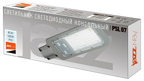 Консольный светильник Jazzway  серый арт. PSL 07  80w 5000K  IP65
