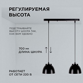 Подвесной светильник Apeyron Electrics  черный арт. 16-63