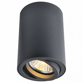 Накладной светильник Arte Lamp 1560 черный арт. A1560PL-1BK
