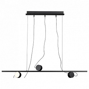 Подвесной светильник Odeon Light Nera черный арт. 6600/21L