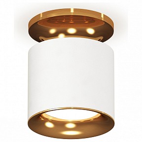 Накладной светильник Ambrella Light XS золото арт. XS7401122