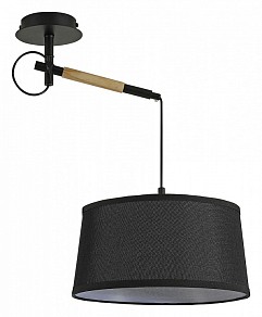 Светильник на штанге F-promo Eureka черный арт. 3006-1P