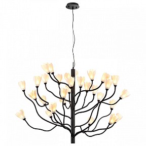Подвесная люстра Odeon Light Gardi черный арт. 5090/30
