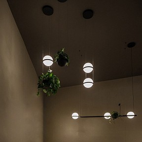 Подвесной светильник Imperiumloft Palma Wall Lamp серый арт. 22.93726