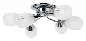 Потолочная люстра Arte Lamp Penny хром арт. A2701PL-6CC