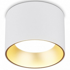 Накладной светильник Ambrella Light TN белый арт. TN52882
