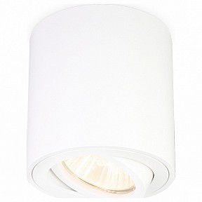 Накладной светильник Ambrella Light TN белый арт. TN22701