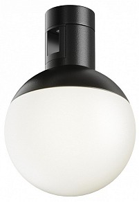 Накладной светильник Maytoni Technical Luna черный арт. TR149-1-5W4K-B