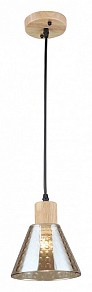 Подвесной светильник Arte Lamp Lancaster черный арт. A5891SP-1BK