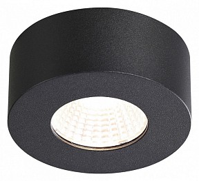 Накладной светильник Odeon Light Bene черный арт. 4283/7CL