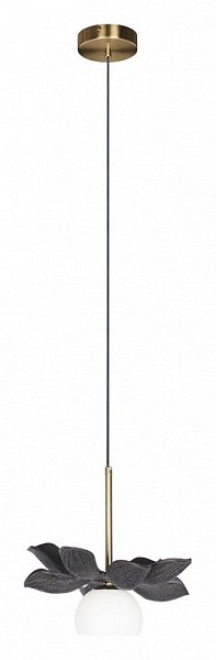 Подвесной светильник Loft it Monro черный арт. 10213/B Black