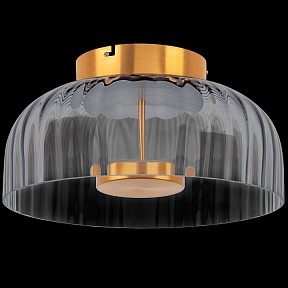 Накладной светильник Lightstar Celesta желтый арт. 809061
