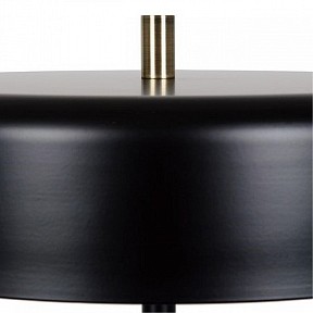 Торшер Arte Lamp Skat черный арт. A7052PN-2BK