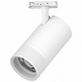 Светильник на штанге Lightstar Canno Pro белый арт. C4406SS