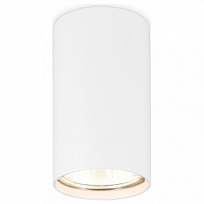 Накладной светильник Ambrella Light TN белый арт. TN213108