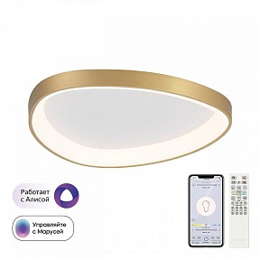 Накладной светильник Citilux GENKA SMART золото арт. CL756A142