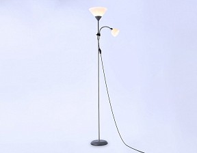 Торшер с подсветкой Ambrella Light TR металл арт. TR97626