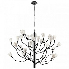 Подвесная люстра Odeon Light Gardi черный арт. 5090/30