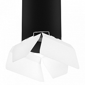 Накладной светильник Lightstar Rullo черный арт. R6497486
