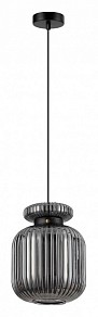 Подвесной светильник Odeon Light Jugi черный арт. 5042/1B