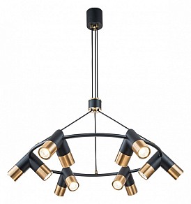 Подвесная люстра Indigo Doppio черный арт. 11036/12P Black