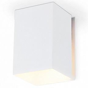 Накладной светильник Ambrella Light TN белый арт. TN5111