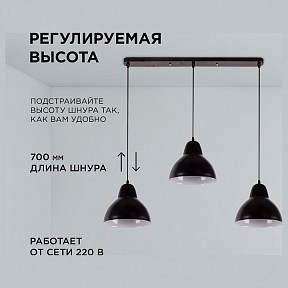 Подвесной светильник Apeyron Electrics  черный арт. 16-68