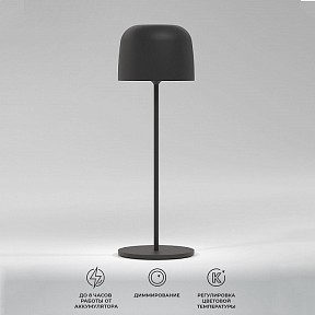 Настольная лампа декоративная Elektrostandard Bitty черный арт. a069002