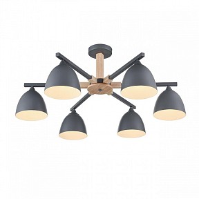 Люстра на штанге Lumion Colange серый арт. 8096/6C