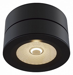 Накладной светильник Maytoni Technical Treviso черный арт. C023CL-L20B