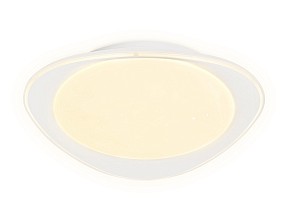 Накладной светильник Ambrella Light FF белый арт. FF44