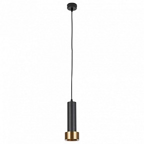 Подвесной светильник Arte Lamp Ran черный арт. A3147SP-1BK