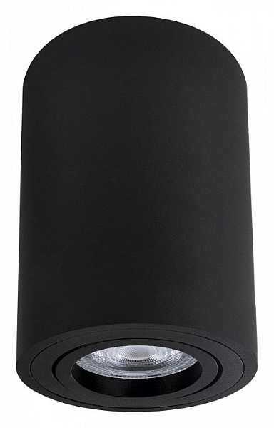 Накладной светильник Arte Lamp Sentry черный арт. A1566PL-1BK