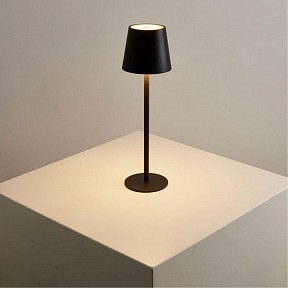 Настольная лампа декоративная Arte Lamp Fuyue черный арт. A1614LT-1BK