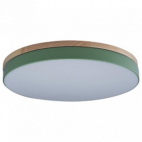 Накладной светильник Loft it Axel яркие арт. 10001/36 Green