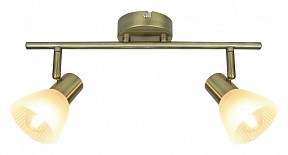 Спот Arte Lamp Parry бронза арт. A5062AP-2AB