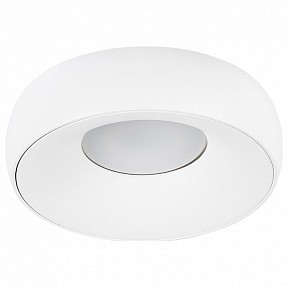 Накладной светильник Arte Lamp Heze белый арт. A6665PL-1WH