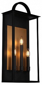Накладной светильник Favourite Lume черный арт. 4299-3W