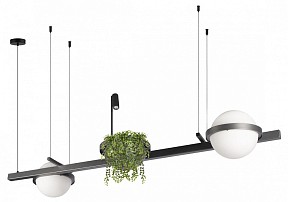 Подвесной светильник Loft it Jardin графитовый арт. 10121/D Dark grey