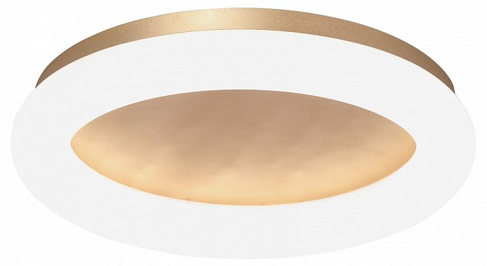 Накладной светильник Vitaluce V2537DT золото арт. V2537DT-8/1PL