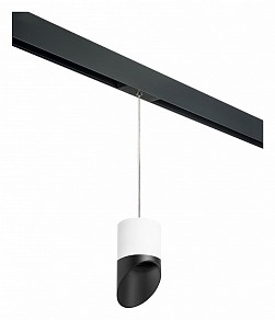 Подвесной светильник Lightstar Rullo черный арт. PRORP348687