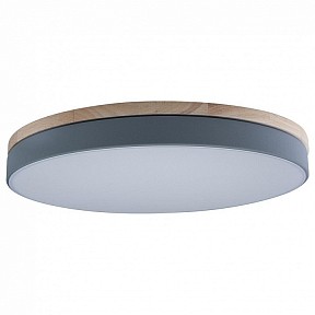 Накладной светильник Loft it Axel серый арт. 10001/36 Grey