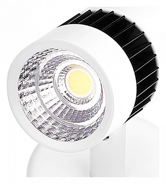 Спот Ambrella Light Techno Spot белый арт. TN101/10W WH/BK