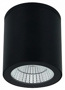 Накладной светильник Arte Lamp TORCULAR черный арт. A1313PF-1BK